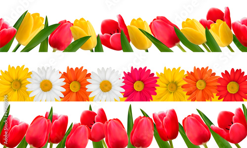 Fototapeta Naklejka Na Ścianę i Meble -  Spring flower borders. Vector.