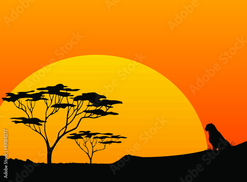 Sunset Africa