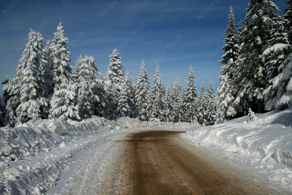 Fototapeta premium snow
