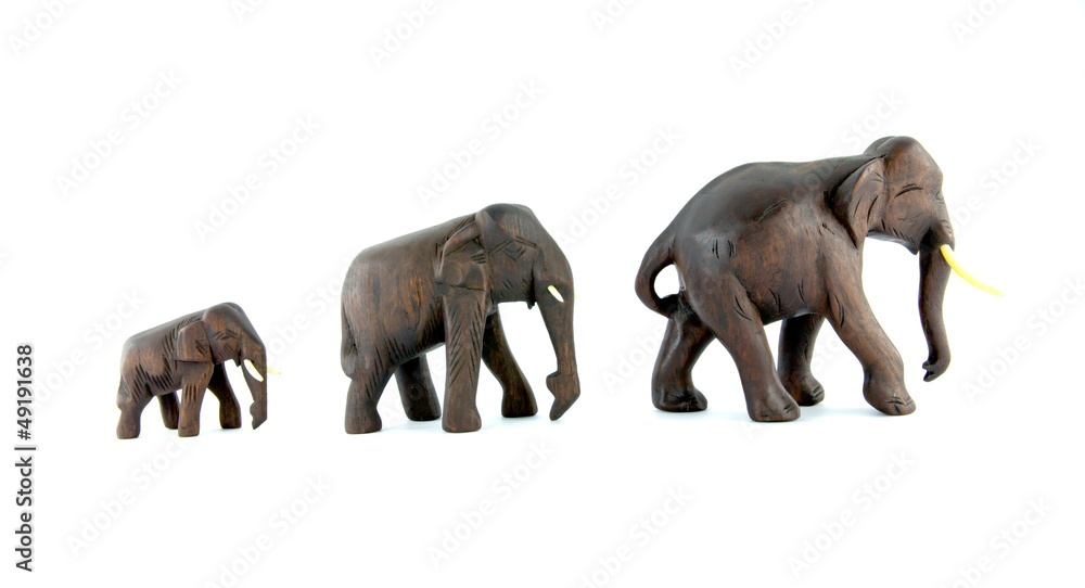 family elephants isolated on a white background family elephants isolated on a white background