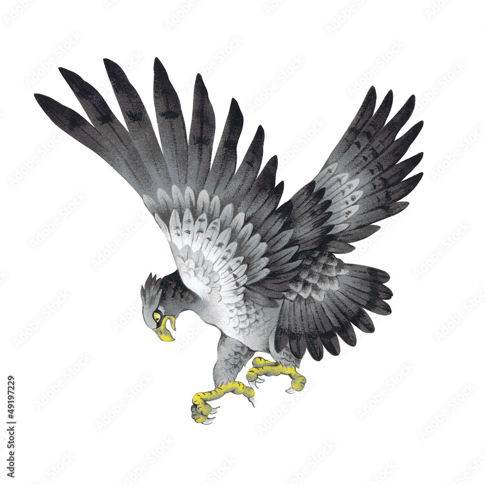 鷲のイラスト Stock Illustration Adobe Stock