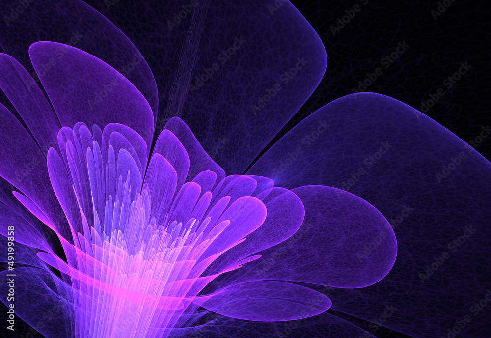 Fototapeta premium blue abstract flower blossom