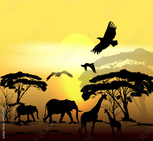 Beautiful vector savanna scene with sunrise, trees and animals s