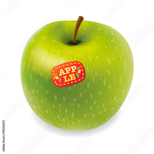 Green apple isolated on white, vector Eps 10 illustration.