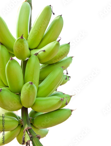 Green bananas © jumnong