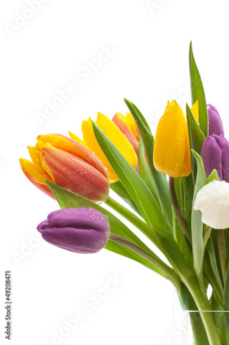 Fototapeta Naklejka Na Ścianę i Meble -  Tulpenstrauß