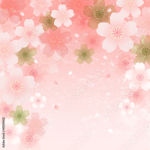 桜 桜吹雪 イラスト