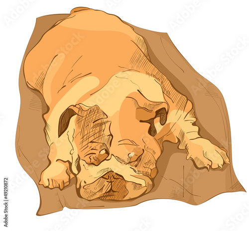 Sleeping bulldog