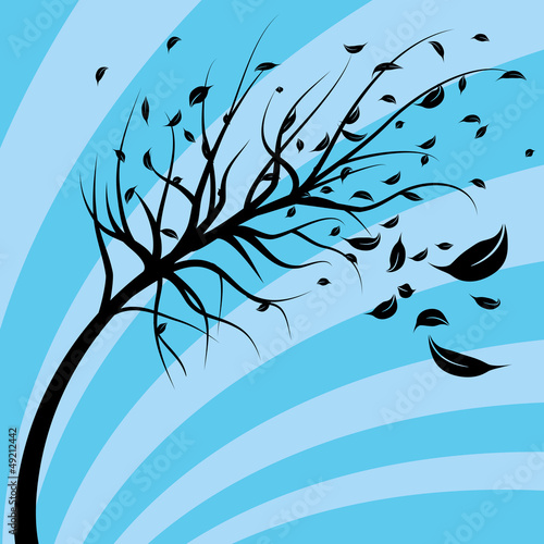 Wind Blown Tree