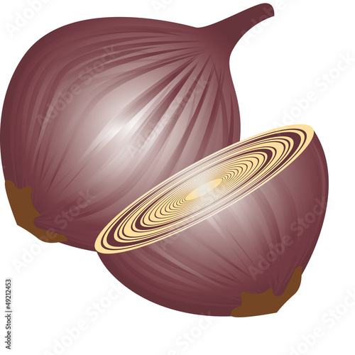 cipolla