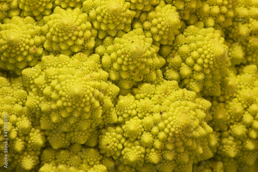 Romanesco Romanesco