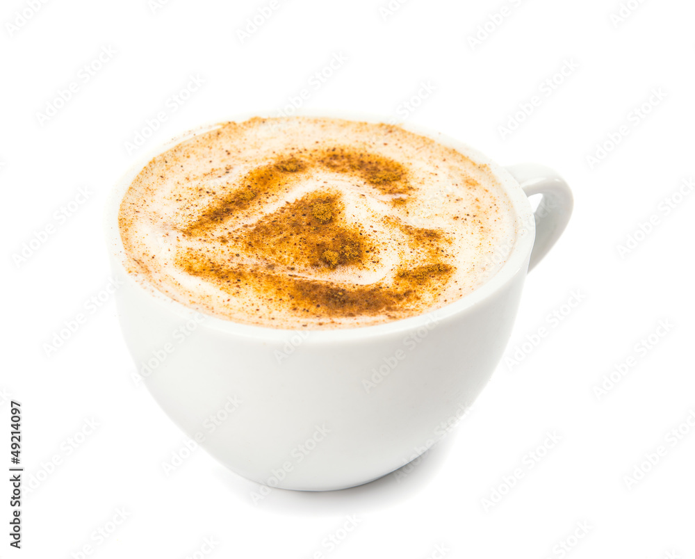 A Cup of Cappuccino with Froth, Cinnamon A Cup of Cappuccino with Froth, Cinnamon