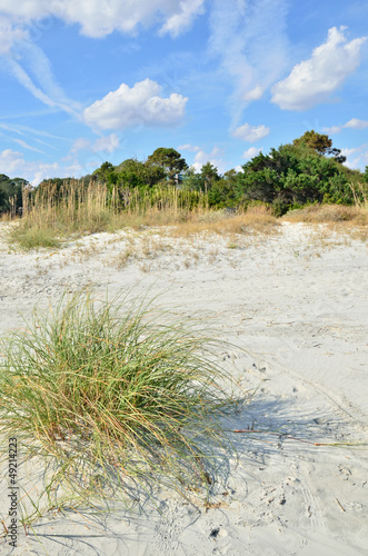 Classic Coastal Georgia beach scene