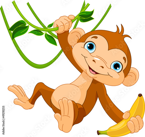 Baby monkey on a tree