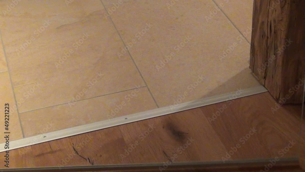 video glasschwingtür II