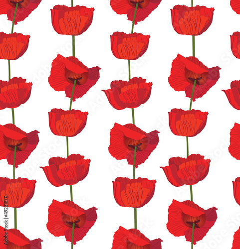 flower poppy seamless background. Elegant floral pattern.