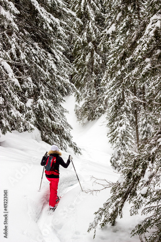 raquette à neige au plateau des glières  photo