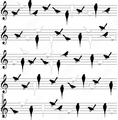 Bird notation lines