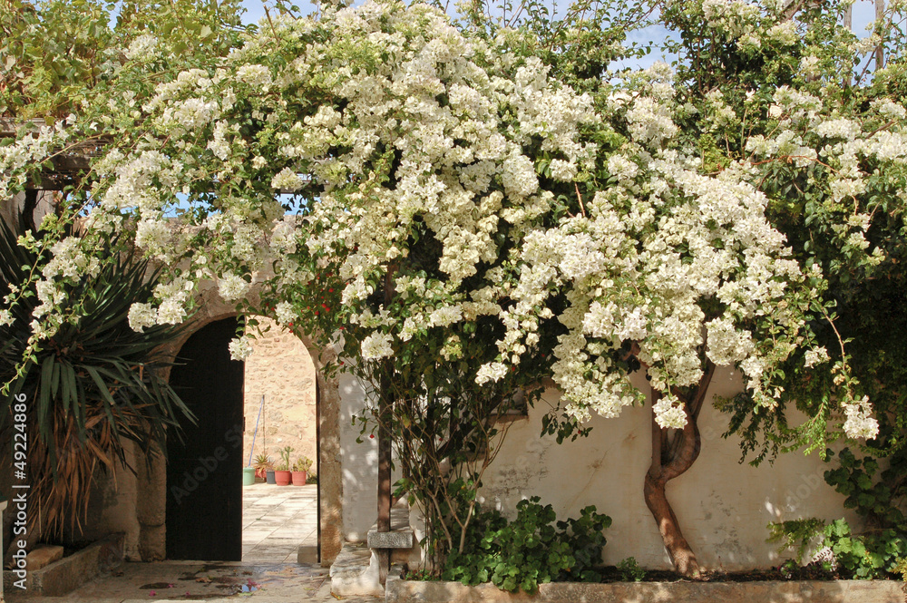 Blossoming tree in the courtyard of a monastery on Crete
