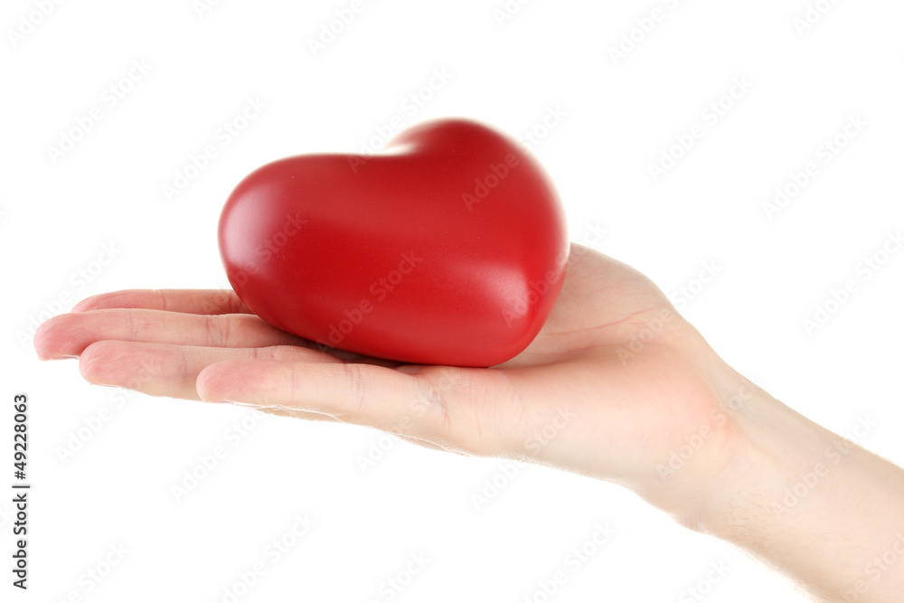 Fototapeta premium Red heart in man hand, isolated on white