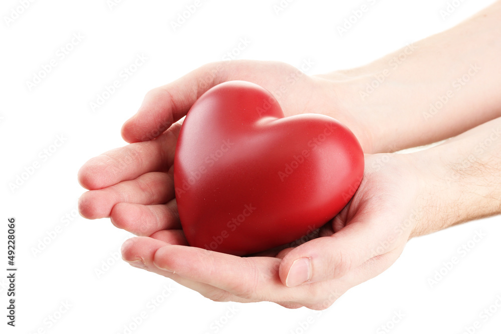 Red heart in man hands, isolated on white Red heart in man hands, isolated on white