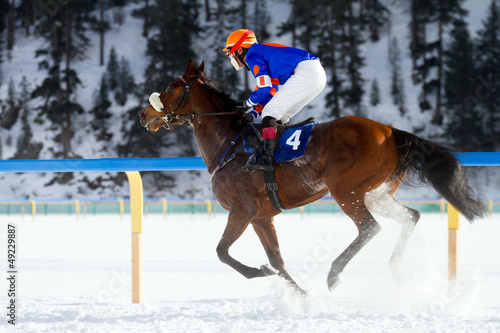 cavallo con fantino