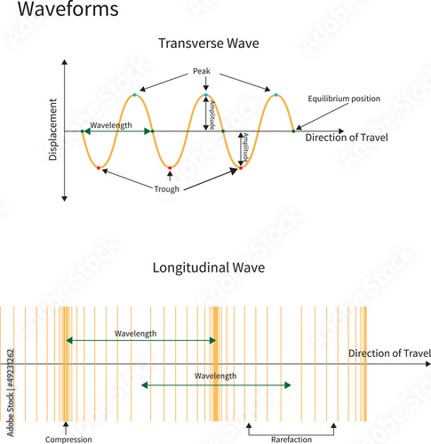 Transverse and Longitudinal Waves