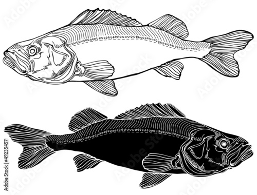 fish graphic black and white