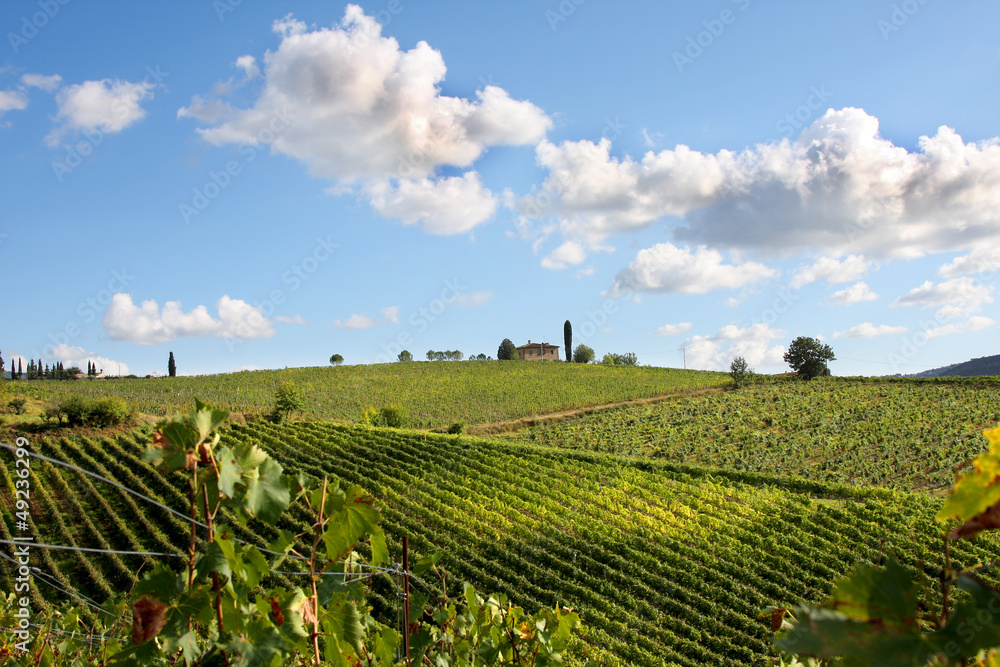 Chianti vineyard landscape in Tuscany, Italy