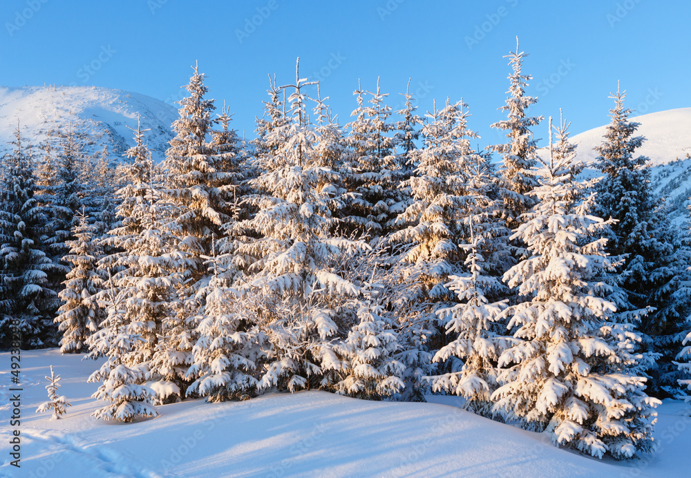 Sunrise winter mountain landscape Sunrise winter mountain landscape