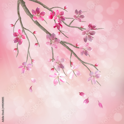 Spring vector tree branch cherry blossom flowers