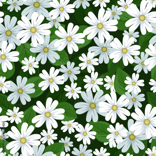 Seamless background with stellaria flowers. Vector illustration. © naddya