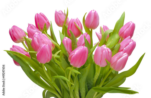 Fototapeta Naklejka Na Ścianę i Meble -  bunch of tulips