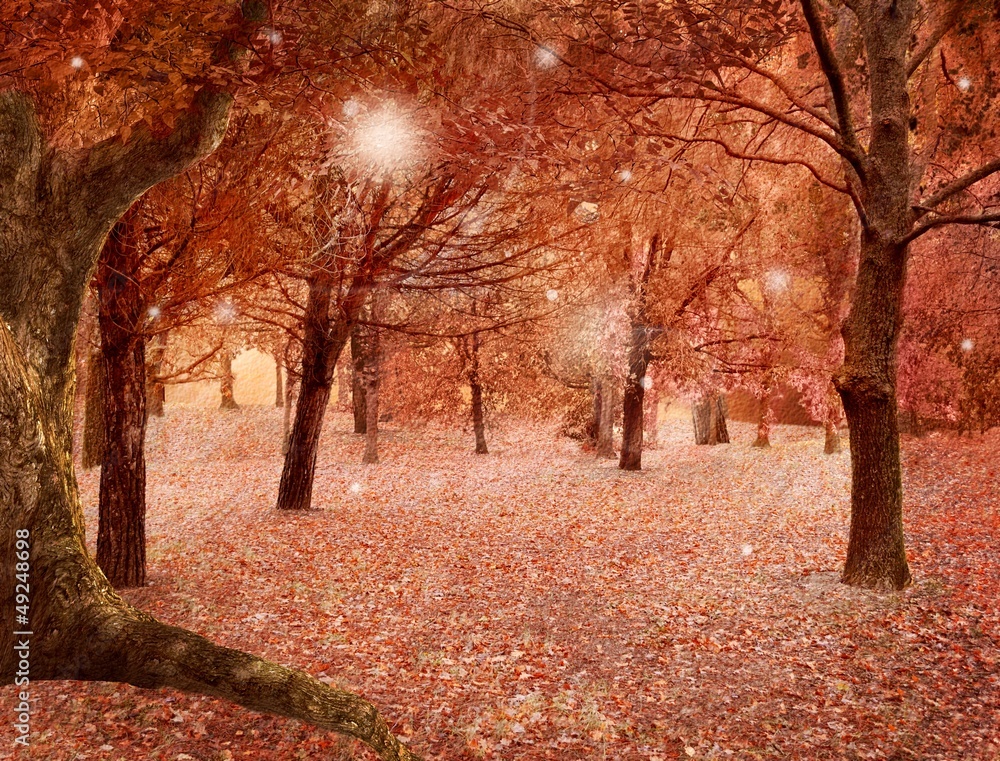 Magic autumnal forest