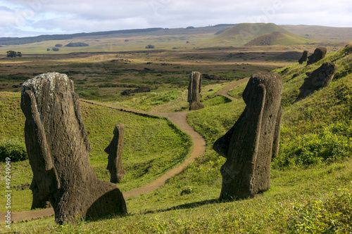 Several moai at Rano Raraku on Easter Island photo