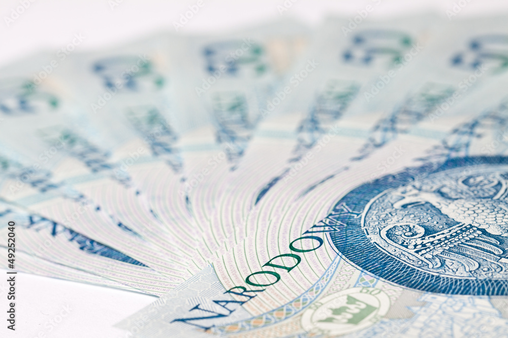 Fototapeta premium Polish money, coins, banknotes, close-up 