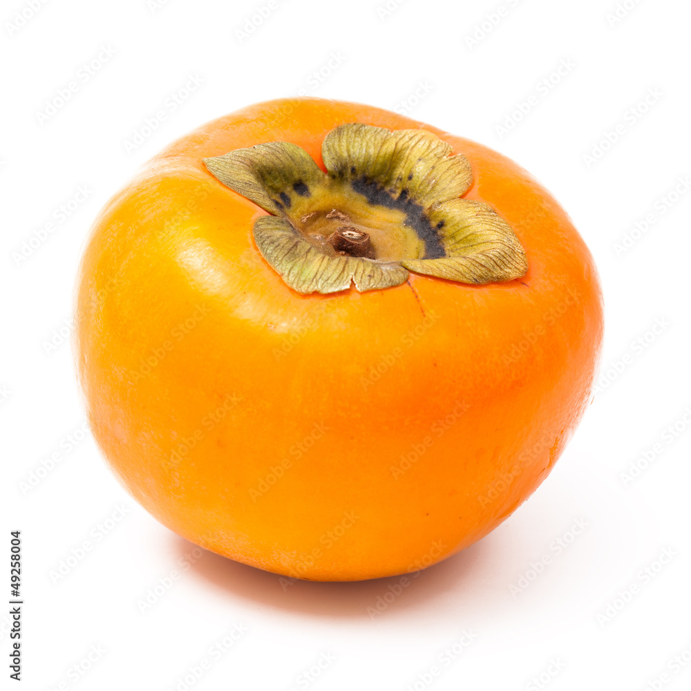 single persimmon single persimmon