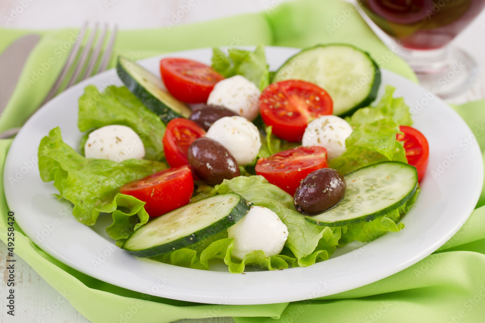 vegetable salad with cheese mozzarella on the plate