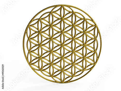 Sacral Symbol Flower of Life in 3D
