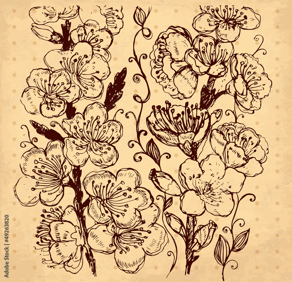 Vector hand drawn illustration with flowers