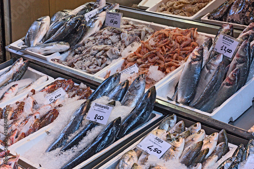 fish market photo