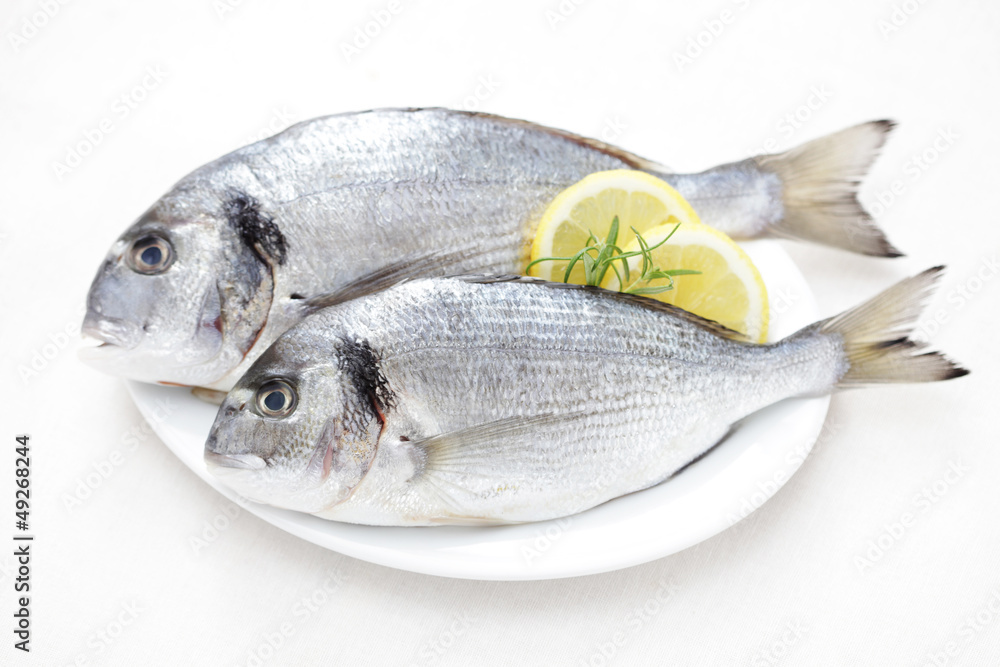 fresh dorada fresh dorada