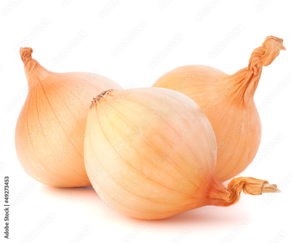 Fototapeta premium Onion vegetable bulbs