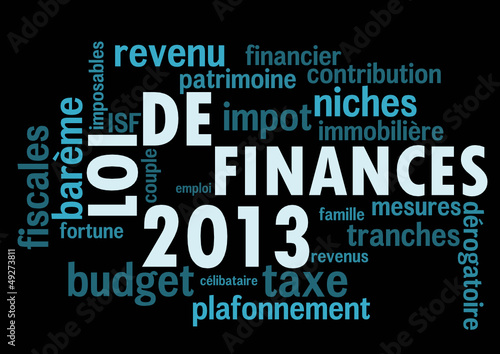 Loi de Finances 2013 bleu