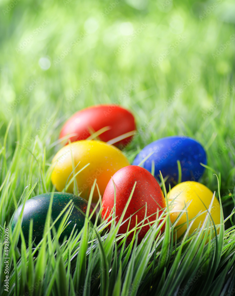 Easter eggs on green grass