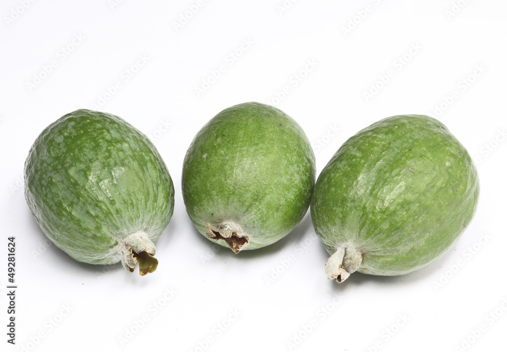 three feijoa on a white background three feijoa on a white background