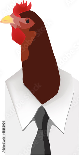 maschera di pollo