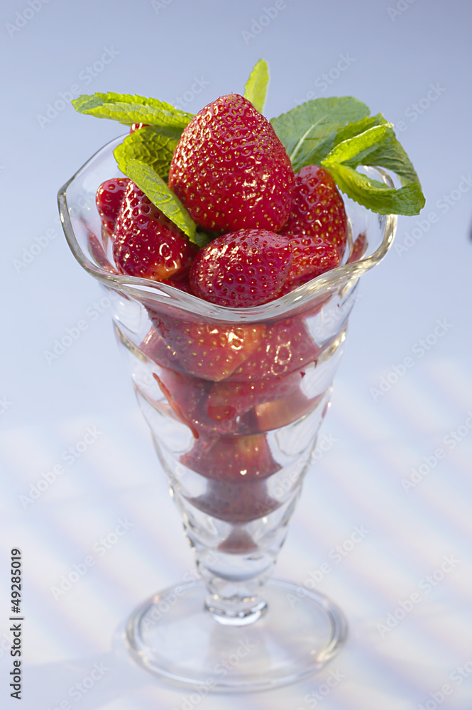 FRAISIER FRAISIER
