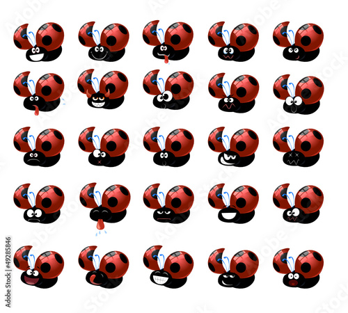 coccinelle espressive