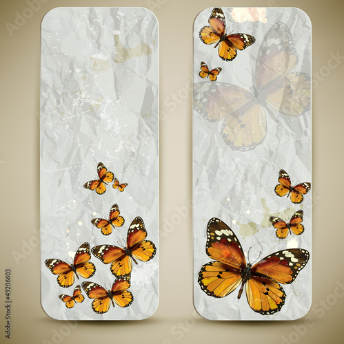 Fototapeta Set of vintage banners with butterfly. Vector background